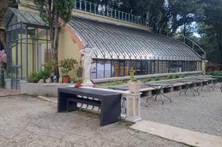 Fantastic Garden - 6