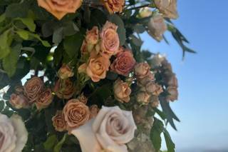 Amedeo Cesarano Floral Design - 14
