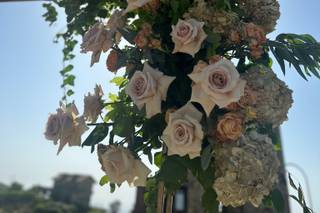 Amedeo Cesarano Floral Design - 15