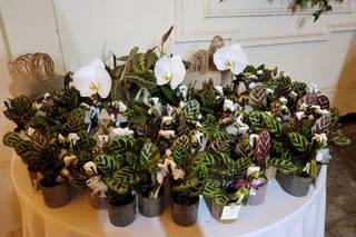 Fleur Garden Trastevere - 17