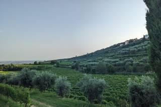 Villa Spinosa - 8