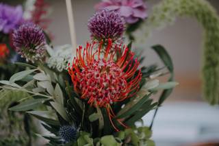 Beatrice Andreoni - 15