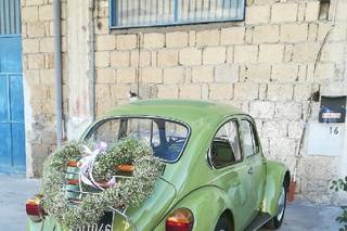 La Primavera Ruggiero - 23