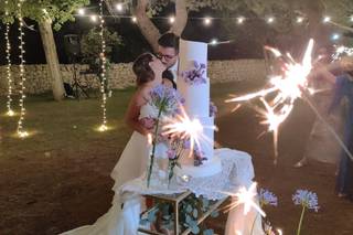 Phases Live Band - 12