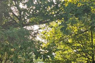 Borgo Monte del Gesso - 22