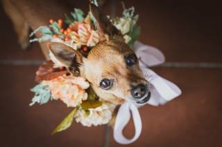 Incontroluce Creative Studio - 5