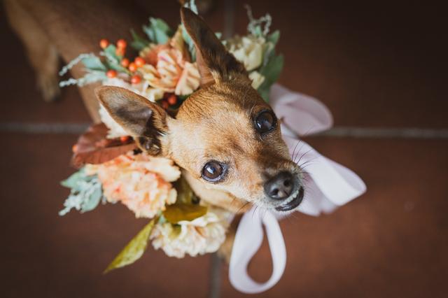 Incontroluce Creative Studio - 2