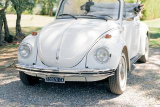 OMG Limousine, Auto d'Epoca e Super Car - 10