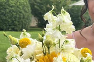 Crespo Garden - 13