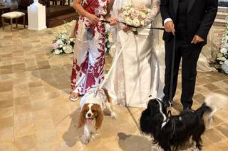 Le Cat e Dog Sitter - Wedding - 18
