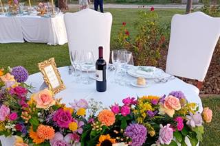 Regini Fiori e Piante - 27