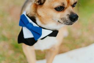 MB Wedding Photographer - 6