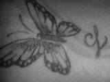 Mely