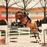 Livia