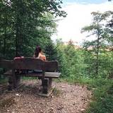 Diletta
