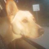 Walter