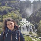 Elisa
