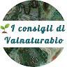 I Consigli