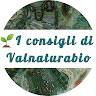 I Consigli