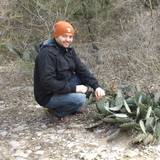 Riccardo