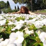 Federica