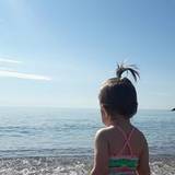 Chelita