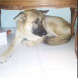 Viviana