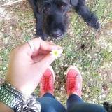 Martina