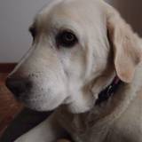Cristina
