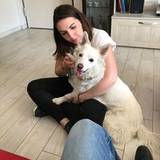 Giulia
