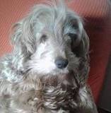 Tiziana