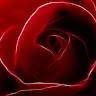 Kiem