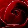 Kiem