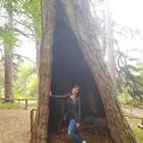 Alisia