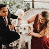 Vanessa