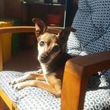 Tiziana