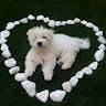 Noemy
