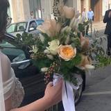 Cinzia