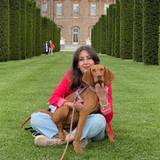 Noemi