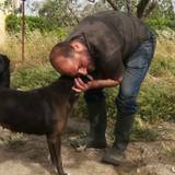 Samuele