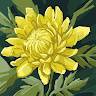 Kaylee