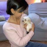 Noemi