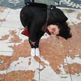 Elisa