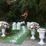 Alessandro