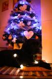 Lucia