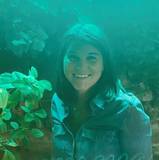 Delfina