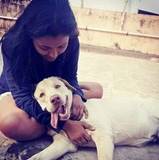 Jayatee