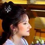 Elisa