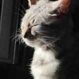 Lilian