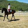 Martina